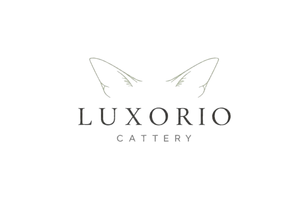 LuxOrio Cattery