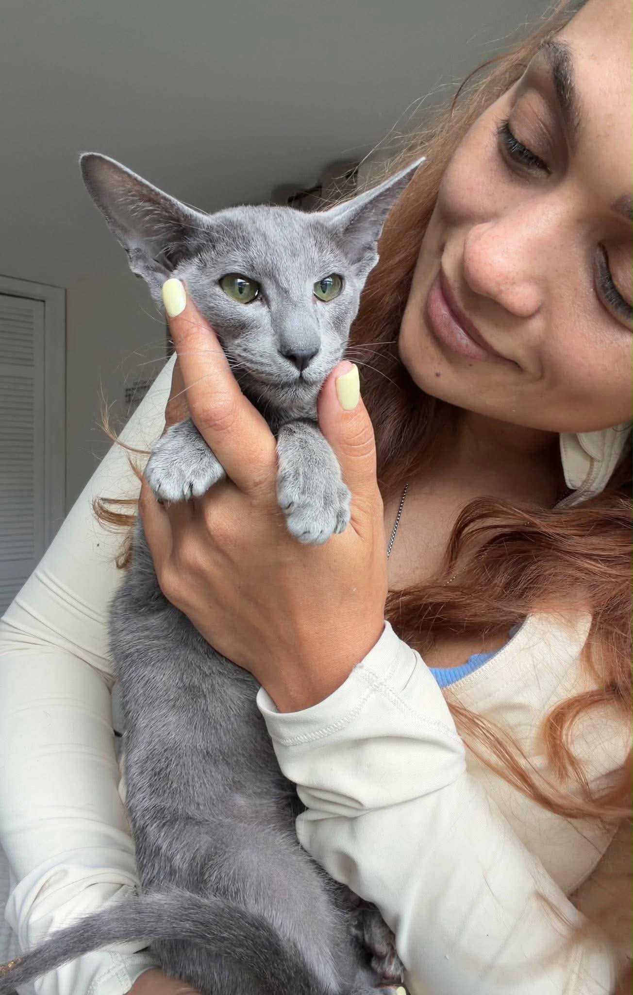 Ekaterina Kovaleva — LuxOrio Breeder