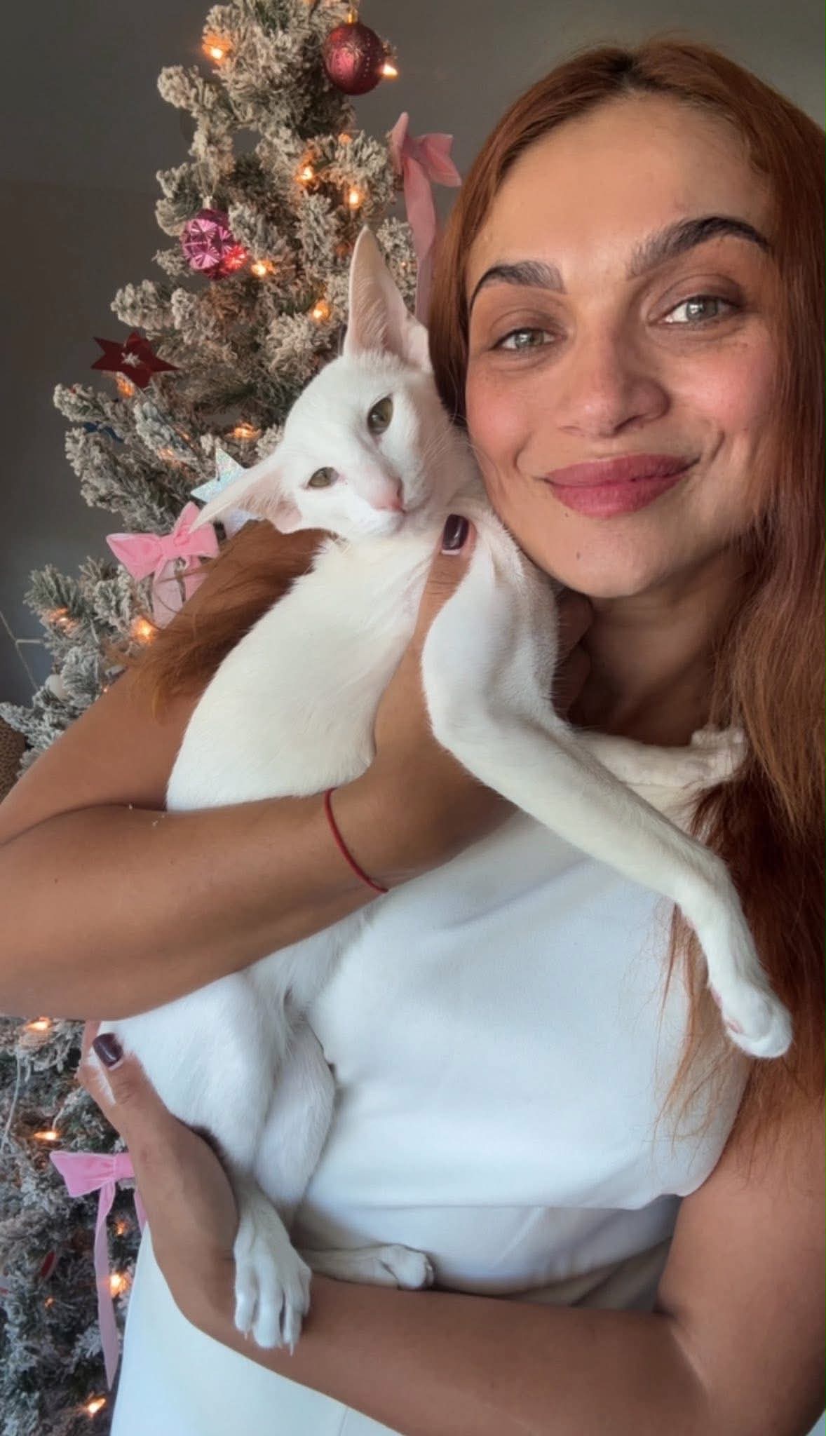Ekaterina Kovaleva — LuxOrio Cattery